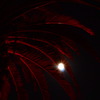 満月の夜に