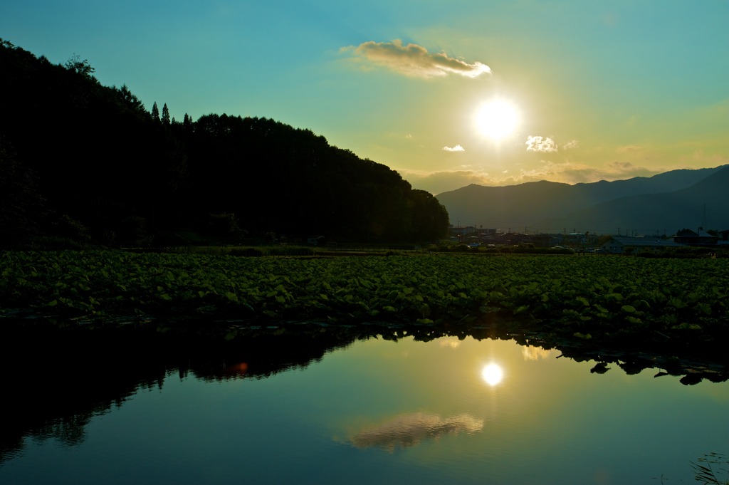 あの日の夕日