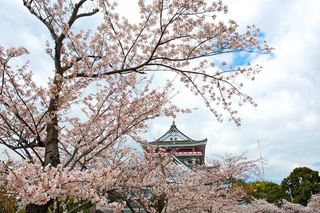 桜の脇役