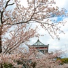 桜の脇役