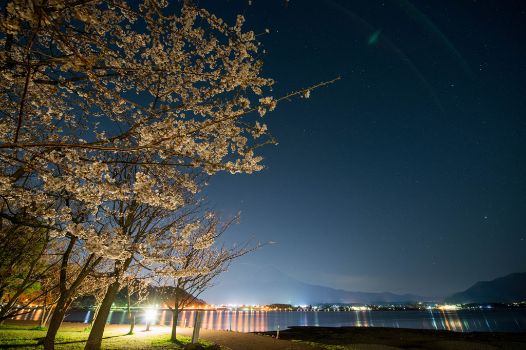 霞む富士山と桜
