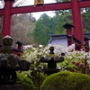 春の朝