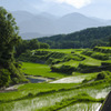 山間の水田