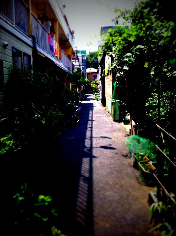 神田川路地
