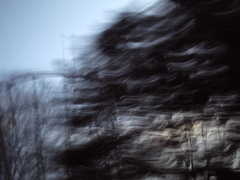 PICT0010