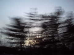 PICT0009