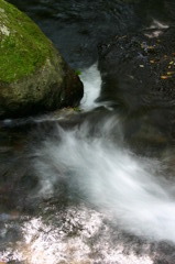 名水 白川水源の水量