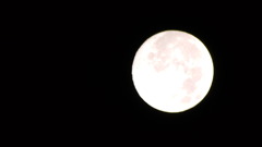 十五夜