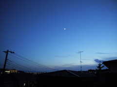 moon dust