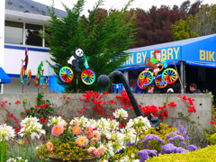 racing bicycles