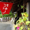 懐かしの店