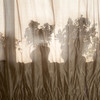 冬の晴天