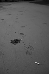 初秋の砂浜
