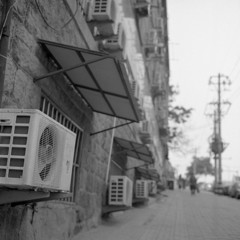 夏が来る
