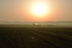 大地の朝