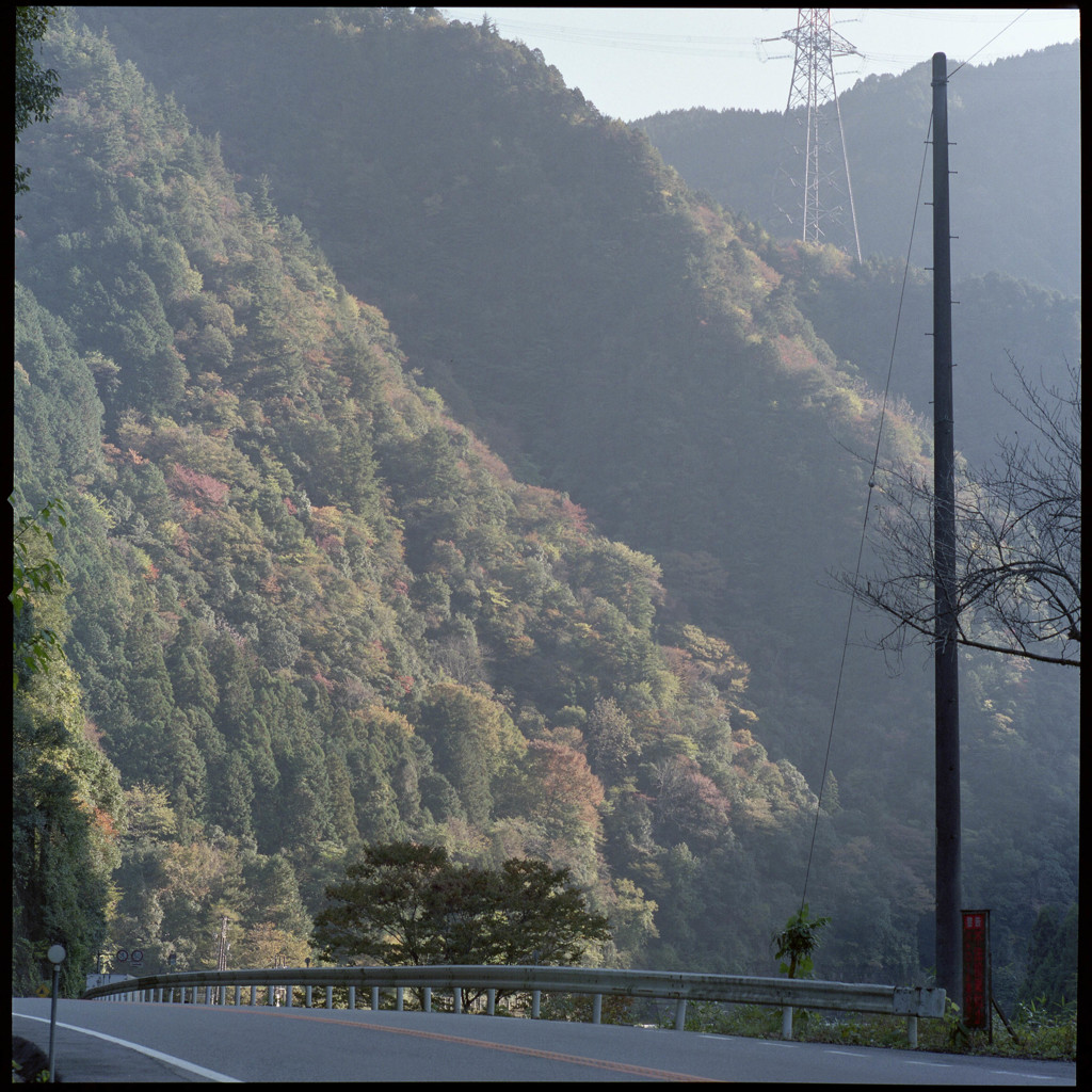 美濃路を下る