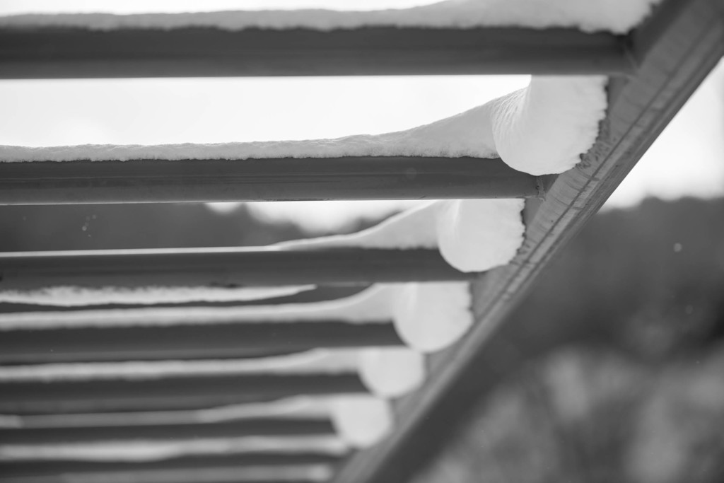 雪の公園