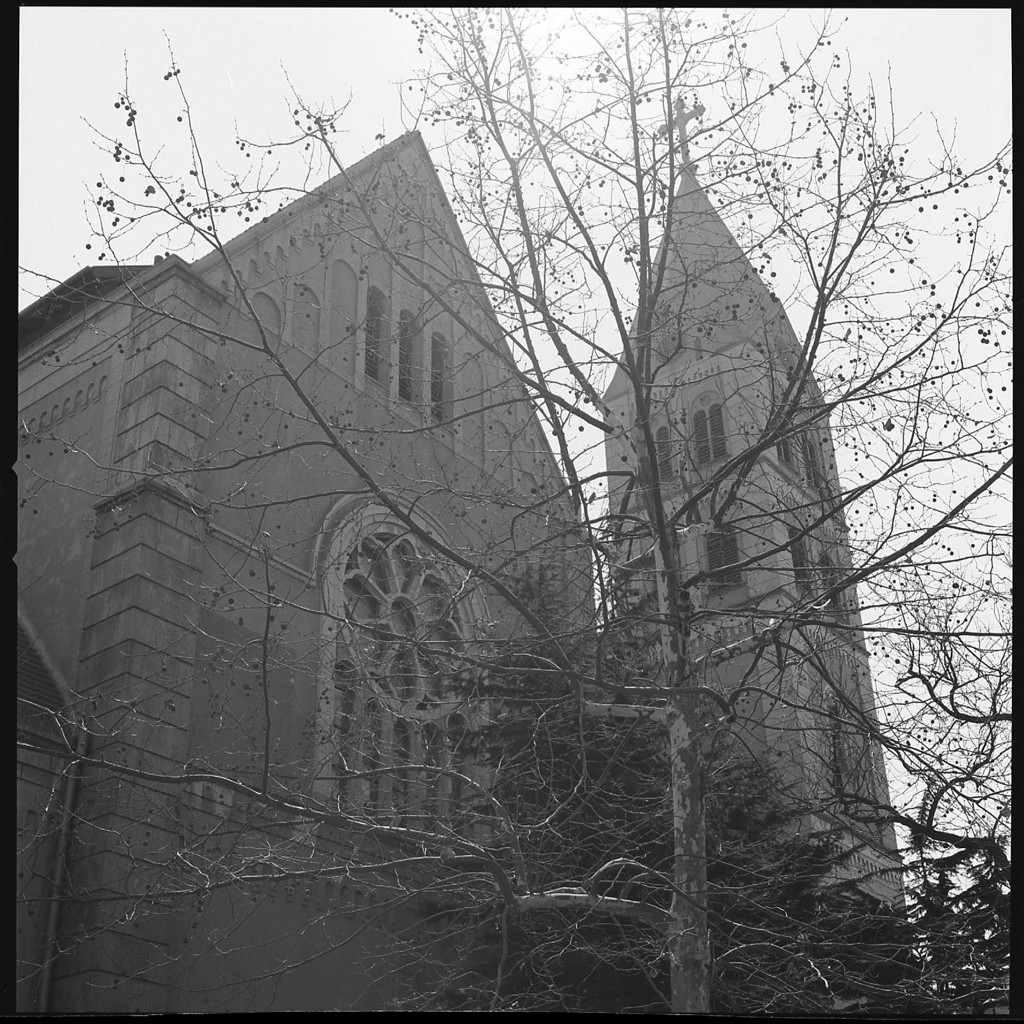 日差しは暖かなれど