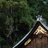 厳かに
