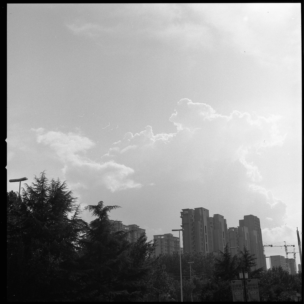 夏雲