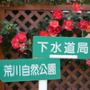 ワクワク