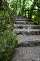 振り返れば