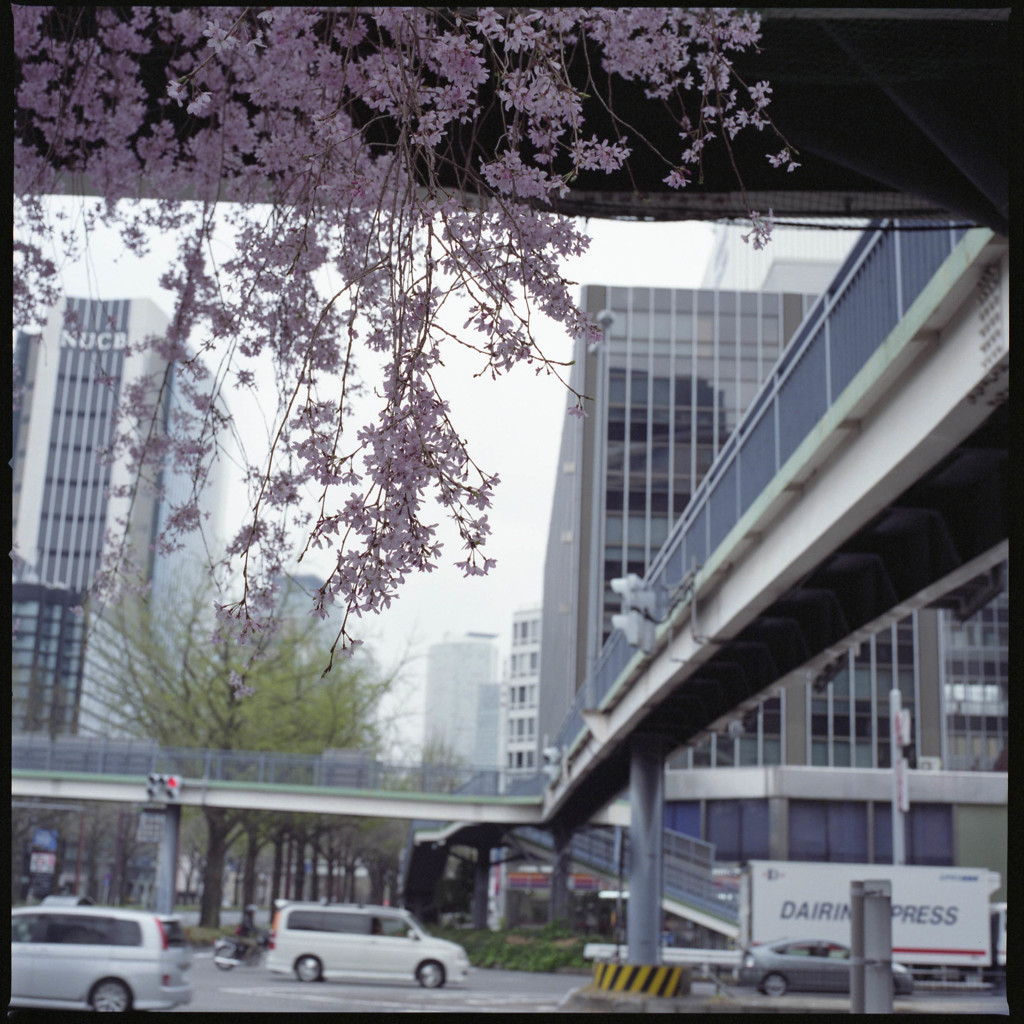 歩道橋下