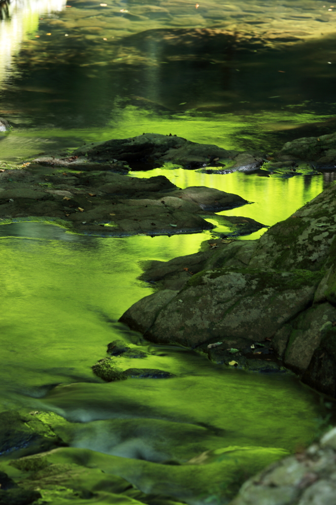 深緑の流れ