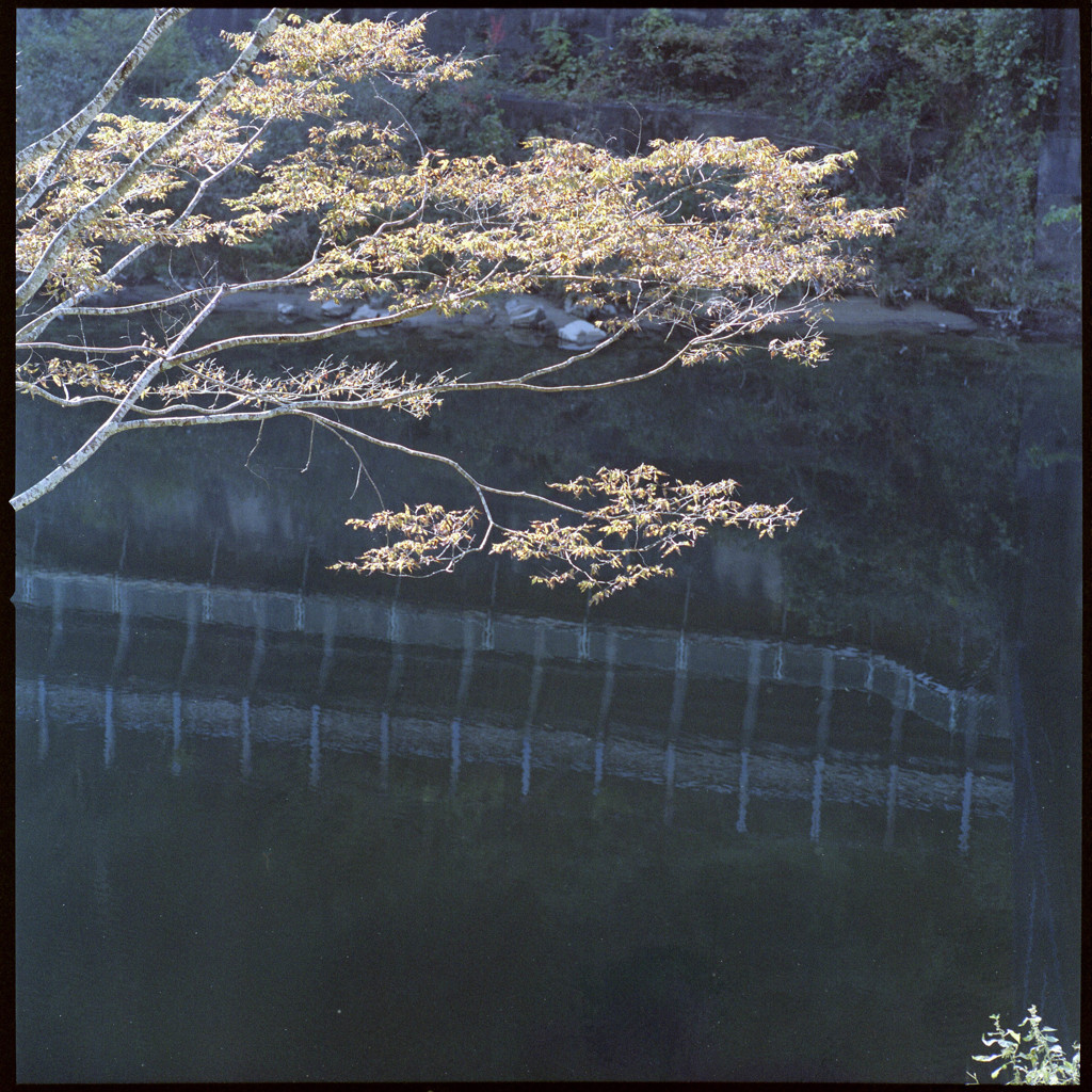 静かな秋景