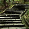 路を下りて