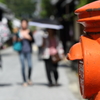 路地の見張り番