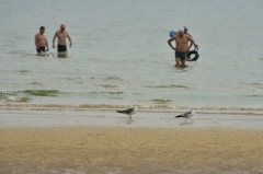 夏の浜