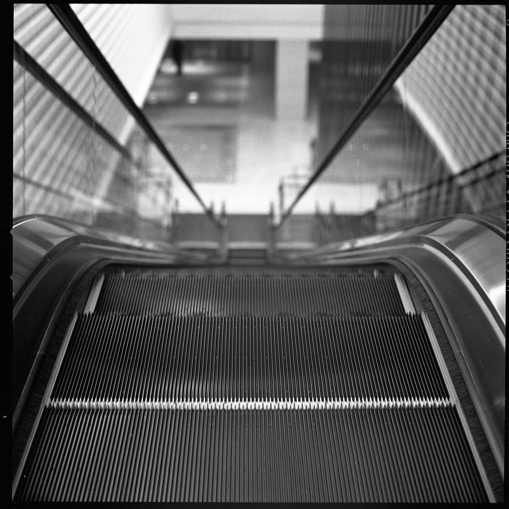 UP or DOWN