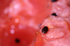 夏の甘味