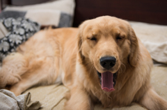 眠い！