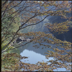 飛騨川の秋