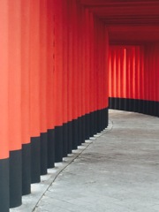 Torii tunnel 