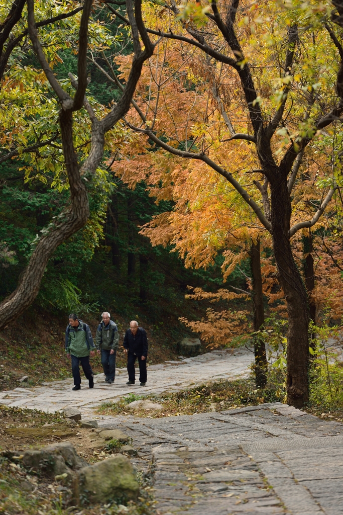 山の散策路