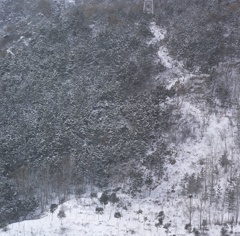 裏山