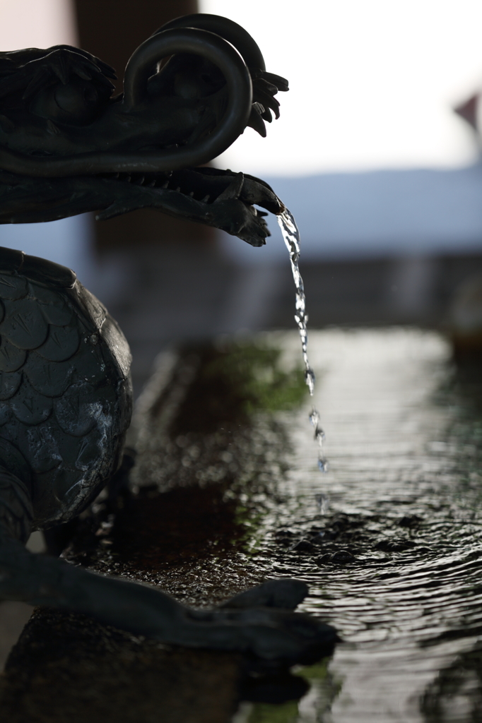 清水