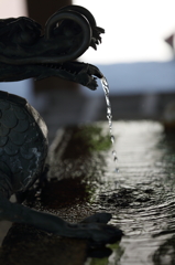 清水