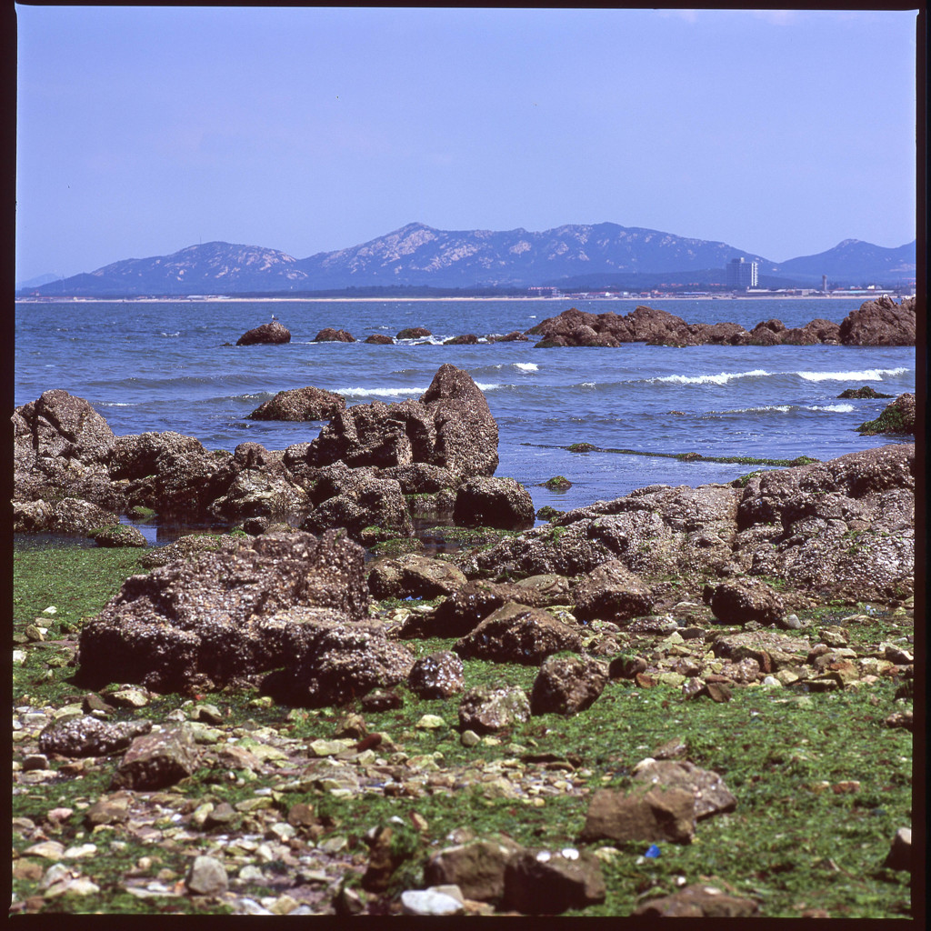 島便り
