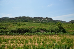 山へ