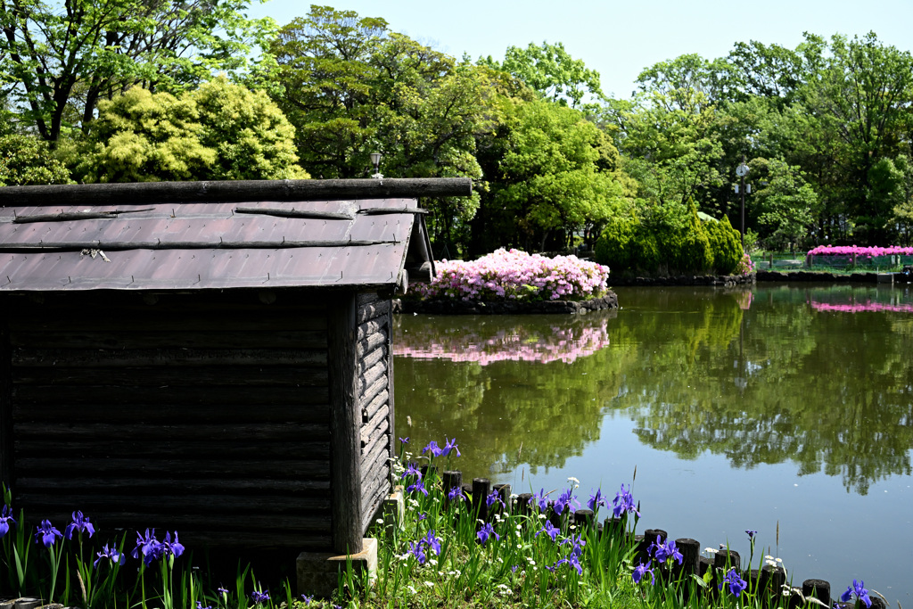 自然公園