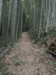 奥へ奥へ