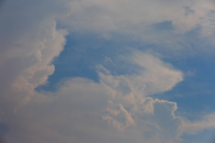 夏の雲