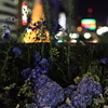 名古屋の夜