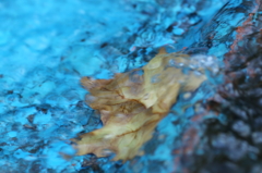水流の中に