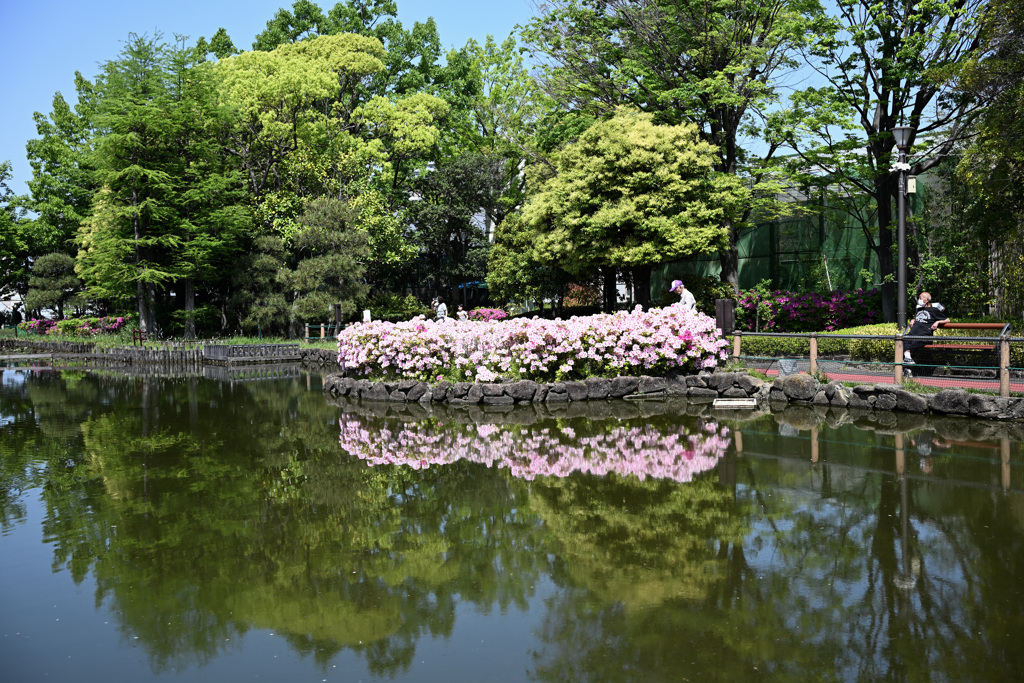 水辺でのひととき