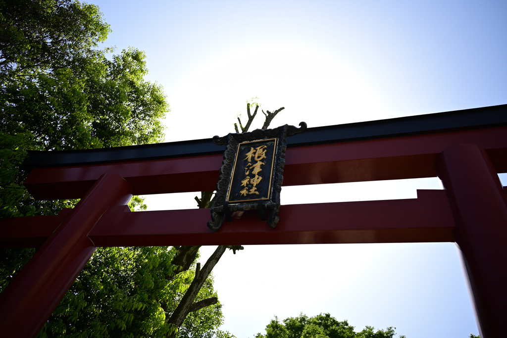 根津神社